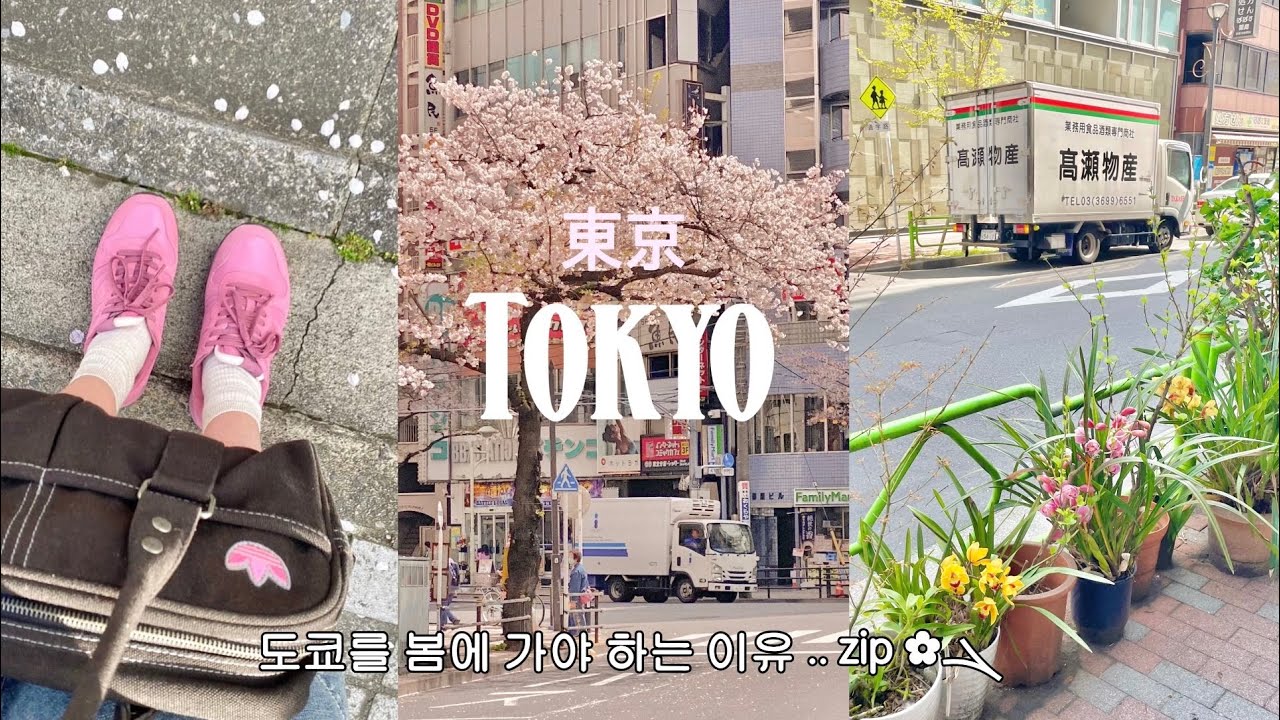 도쿄여행 브이로그 🍥🍢 도쿄를 봄에 가야 하는 이유 ✿ 벚꽃스팟, 맛집, 귀여운 동네 다 알려두림. Tokyo vlog ⛲️ 東京ブイログ
