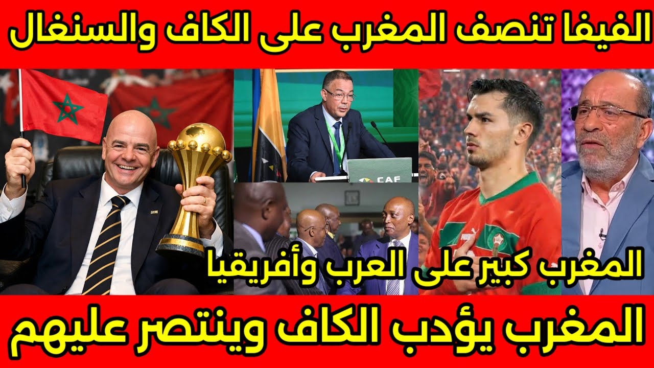 المغرب أنتصر على الكاف والسنغال🇲🇦 ردود افعال هستيريه من المصريين والجزائر بعد قرار الفيفا الجديد🇲🇦
