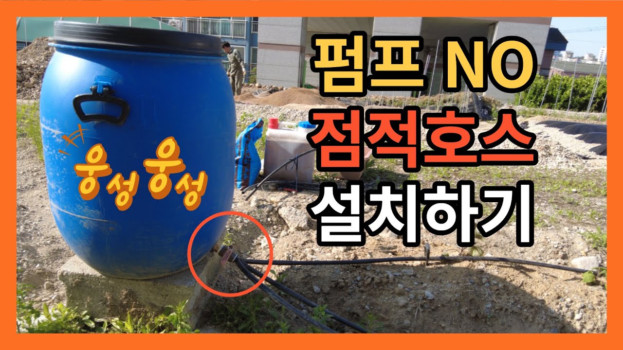 펌프 없이 점적호스 사용하기 (제일 간단한 점적호스 설치 방법)