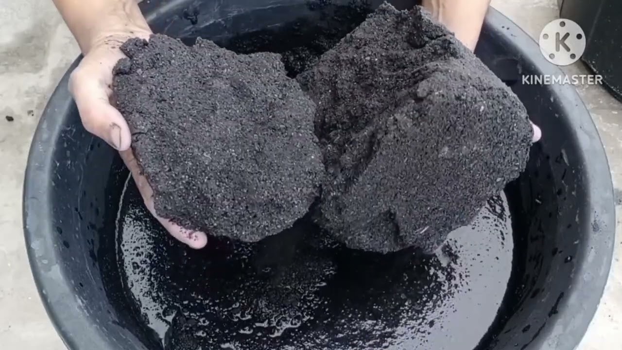 ASMR:pure charcoal crumble in water🖤super  relaxing sound|satisfing dipping|#asmr#oddlysatisfying