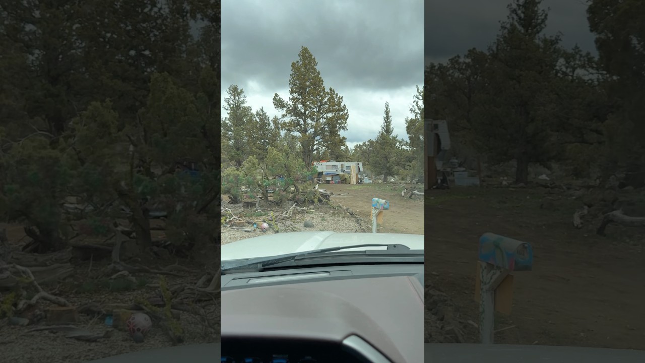 Interviews at a Homeless Camp.