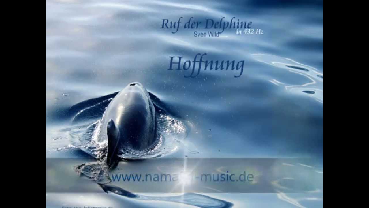 Ruf der Delphine - in 432 Hertz - Sven Wild