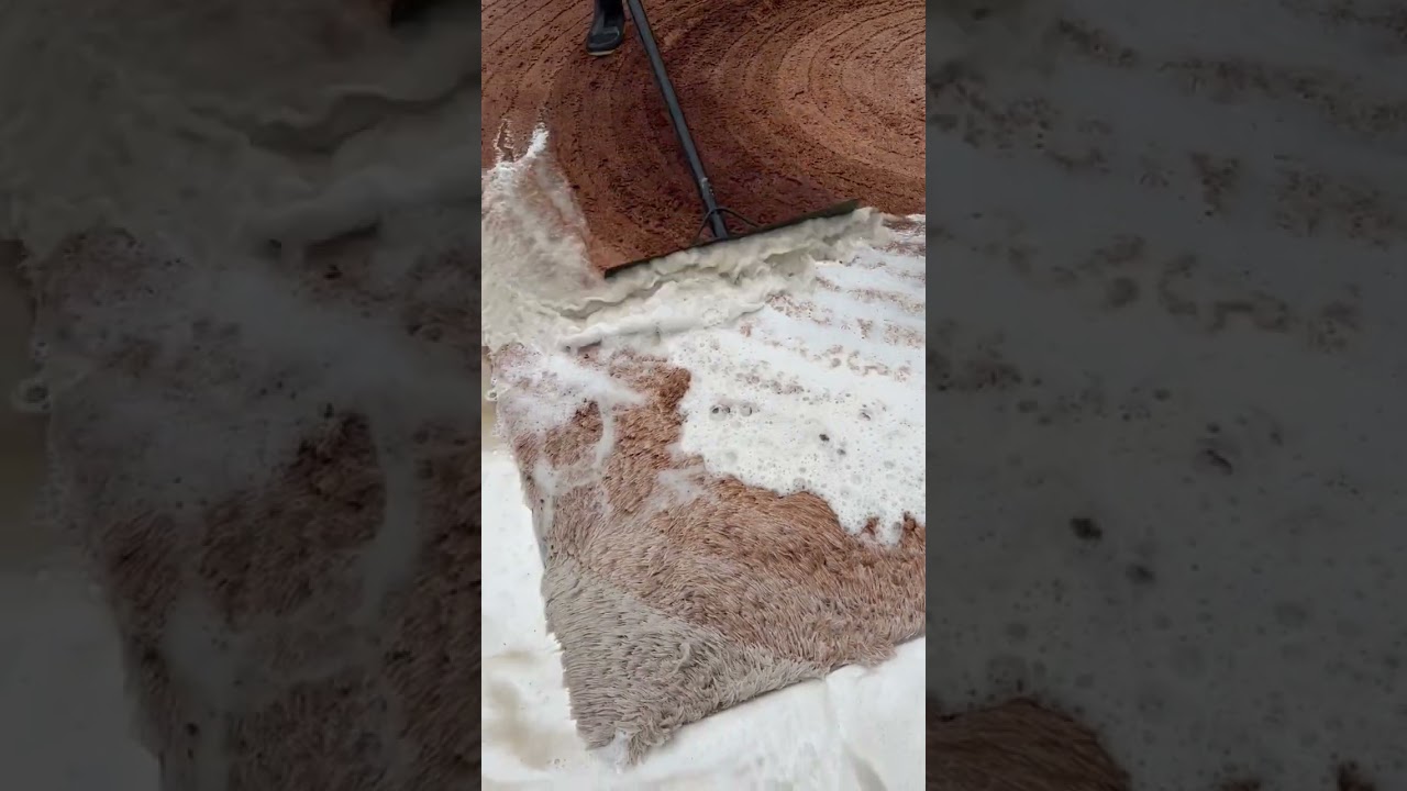 Ocean Sounds Rug Scraping Satisfying #shorts #asmr