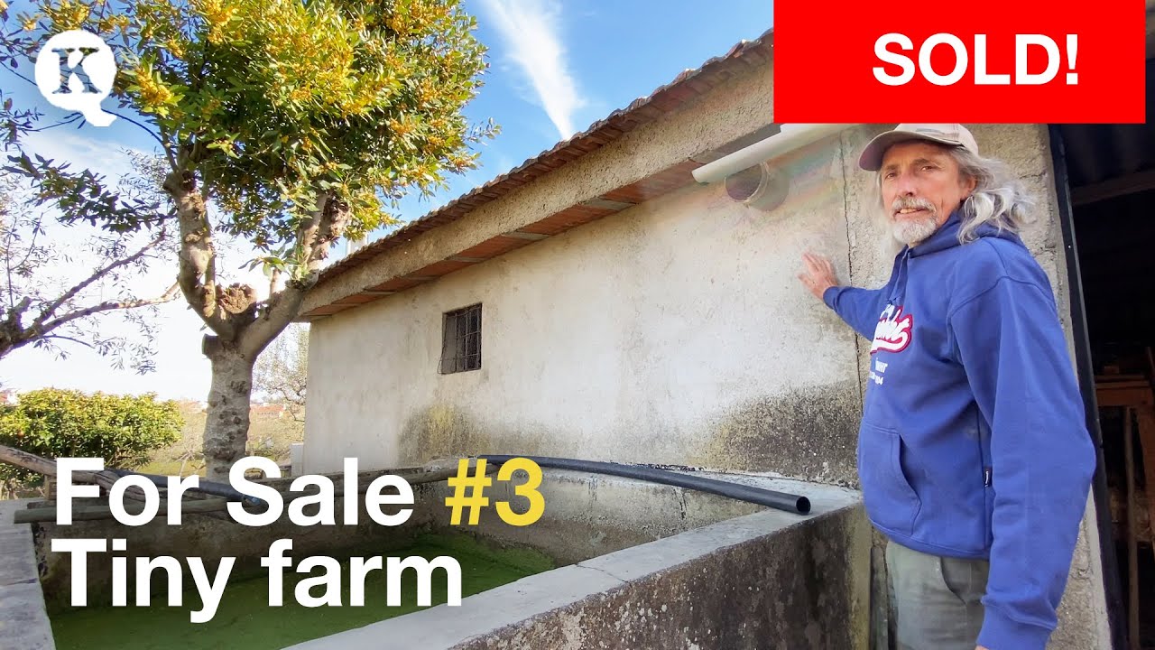 Tiny farm for sale - Central Portugal, Castelo Branco area - 0.2ha - 30.000€