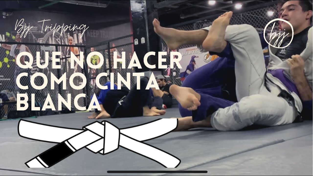Que no hacer si eres cinta blanca de jiu jitsu brasileño | Bjj Vlog
