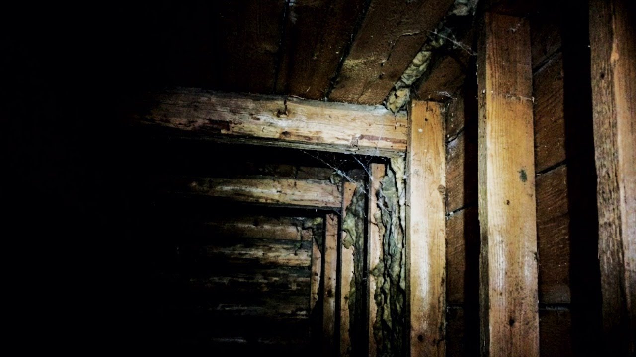 Beyond the Backrooms: The Cabin