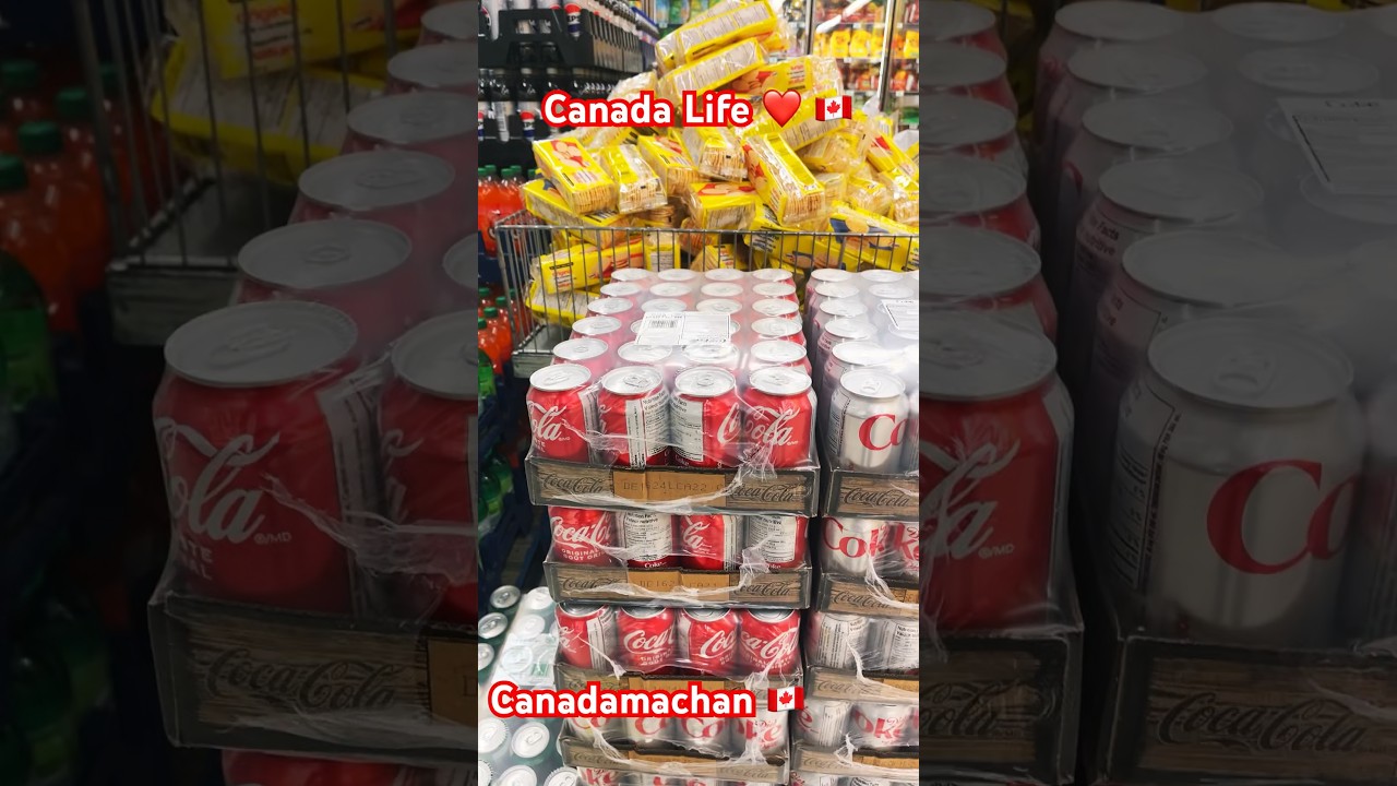 Coca-Cola පට්ට අඩුයි මෙහේ | Grocery price Canada | Canada Sinhala vlog
