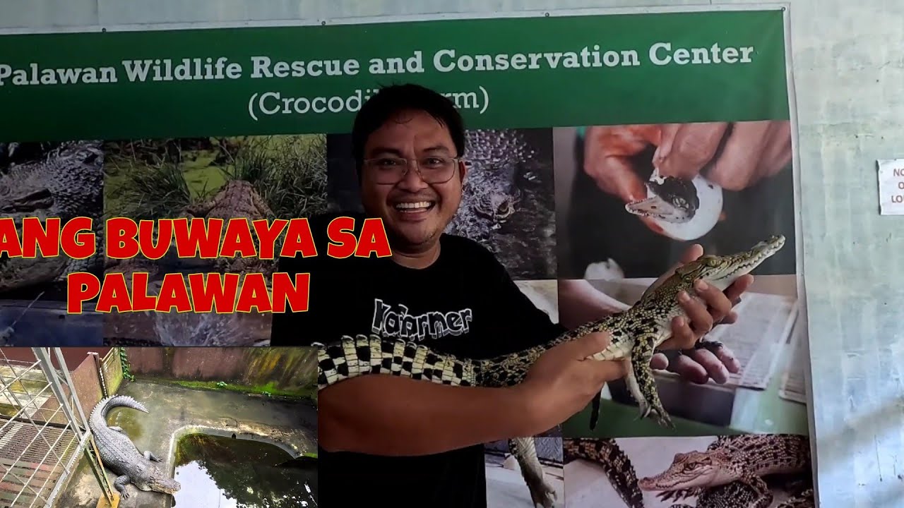 Puerto Prinsesa City Tour | Palawan Wildlife and conservation center
