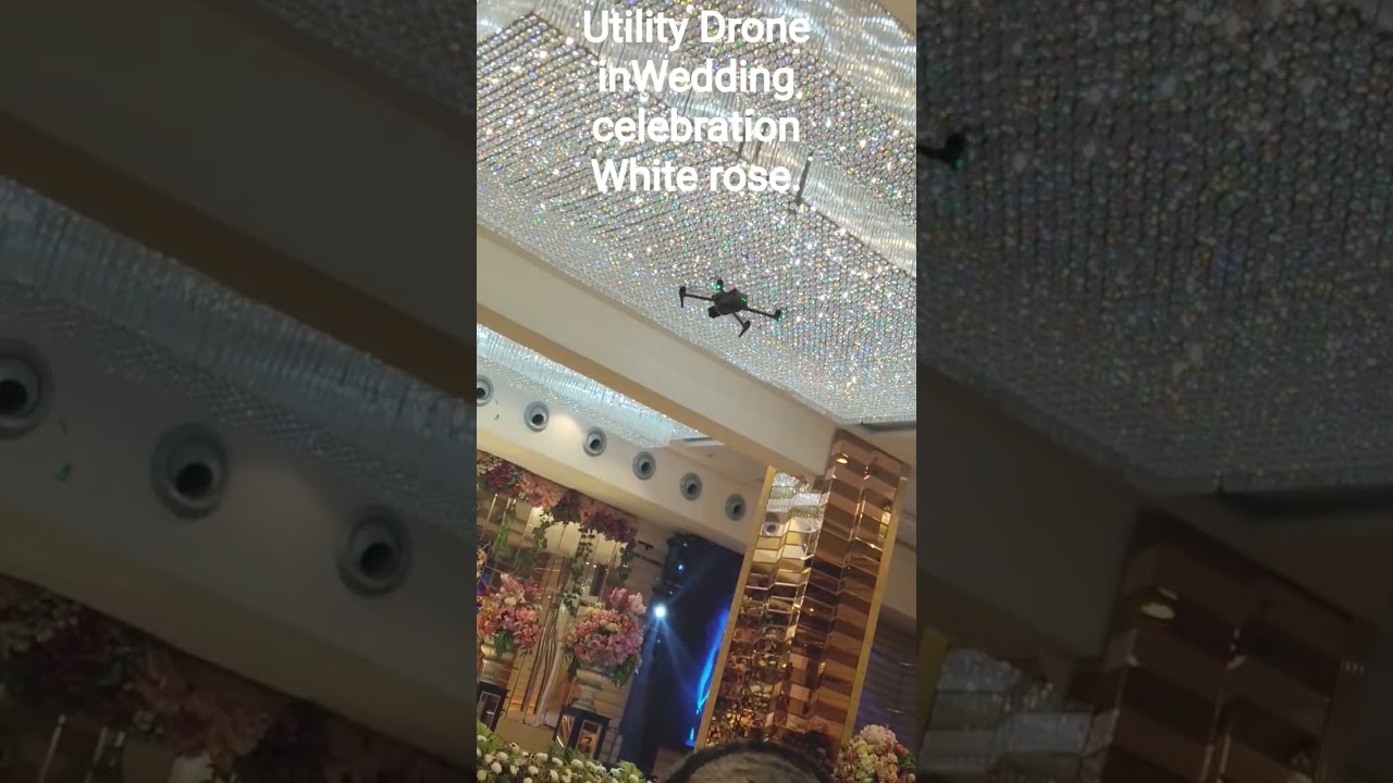 # 4 capturing beauty# Utility Drone# In wedding activity# White Rose# NCR# Dr.P.C.Jha.
