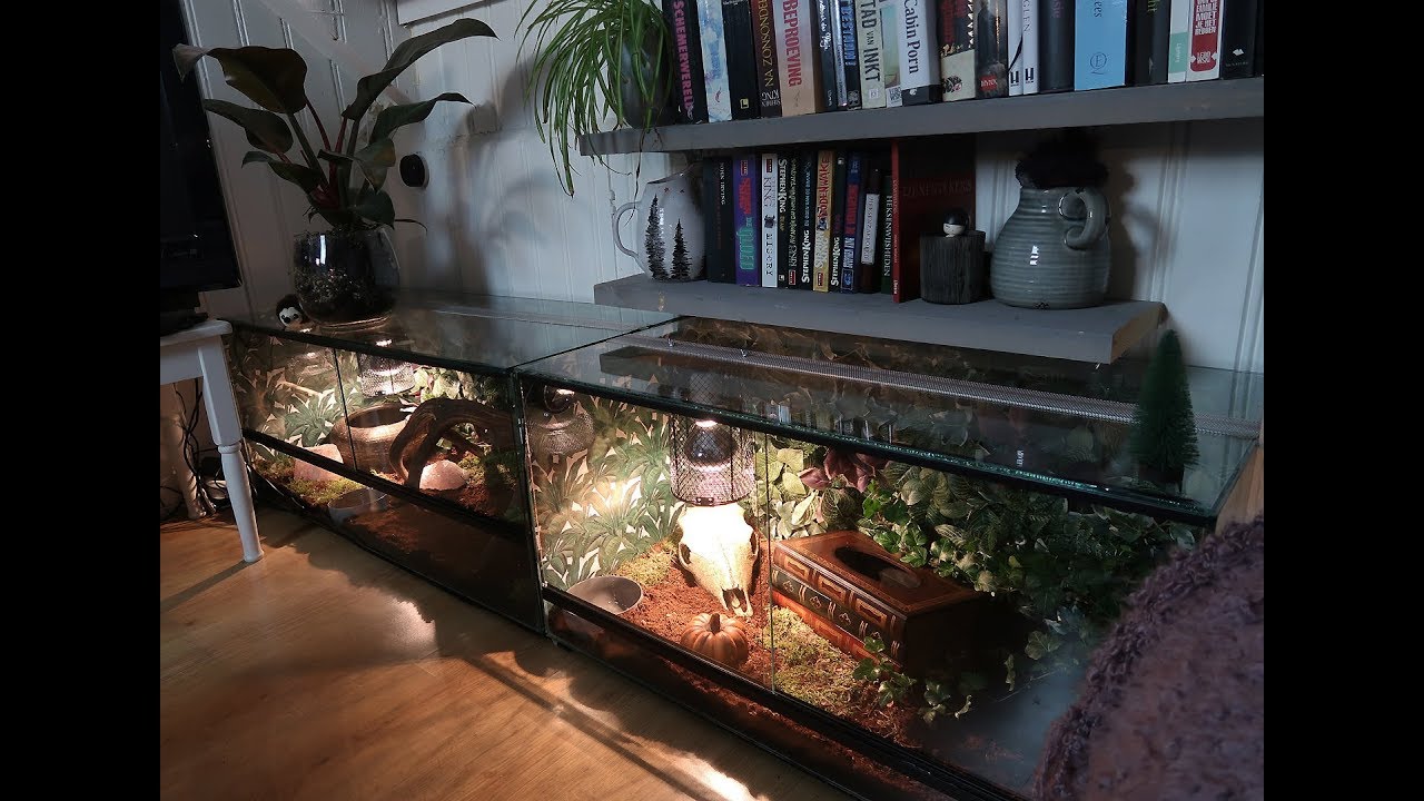 PET SNAKE TANK TOUR