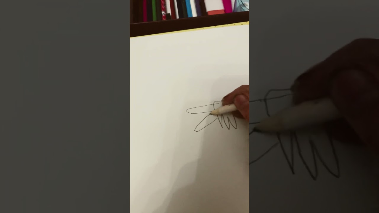 Drawing scp 682 