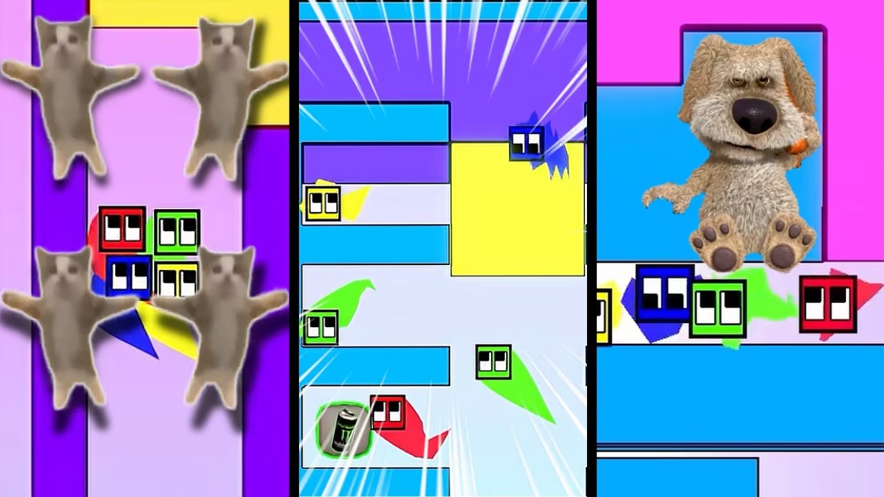 The BEST Square Races!!! - Compilation