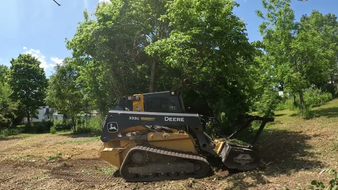Clearing Hardwoods for Future Pasture