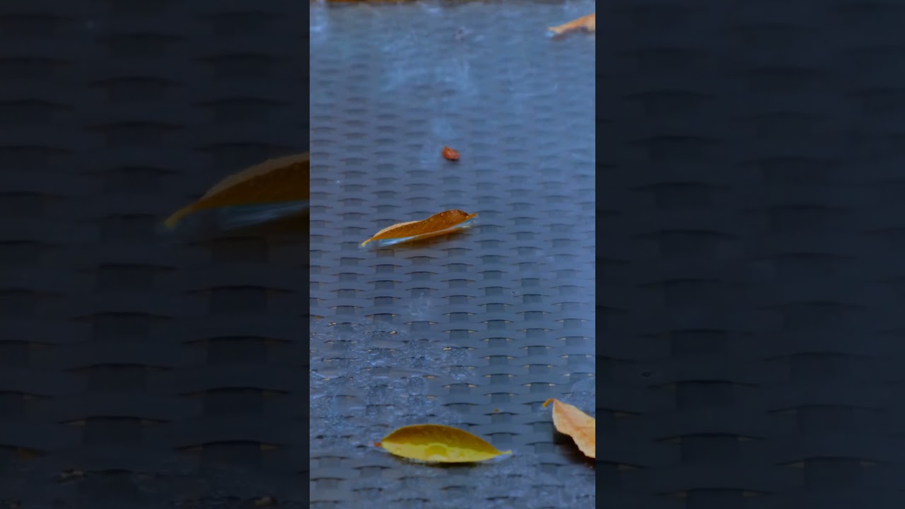 Soneto IV, de Rafael de Le&oacute;n  #shortvideo #corto