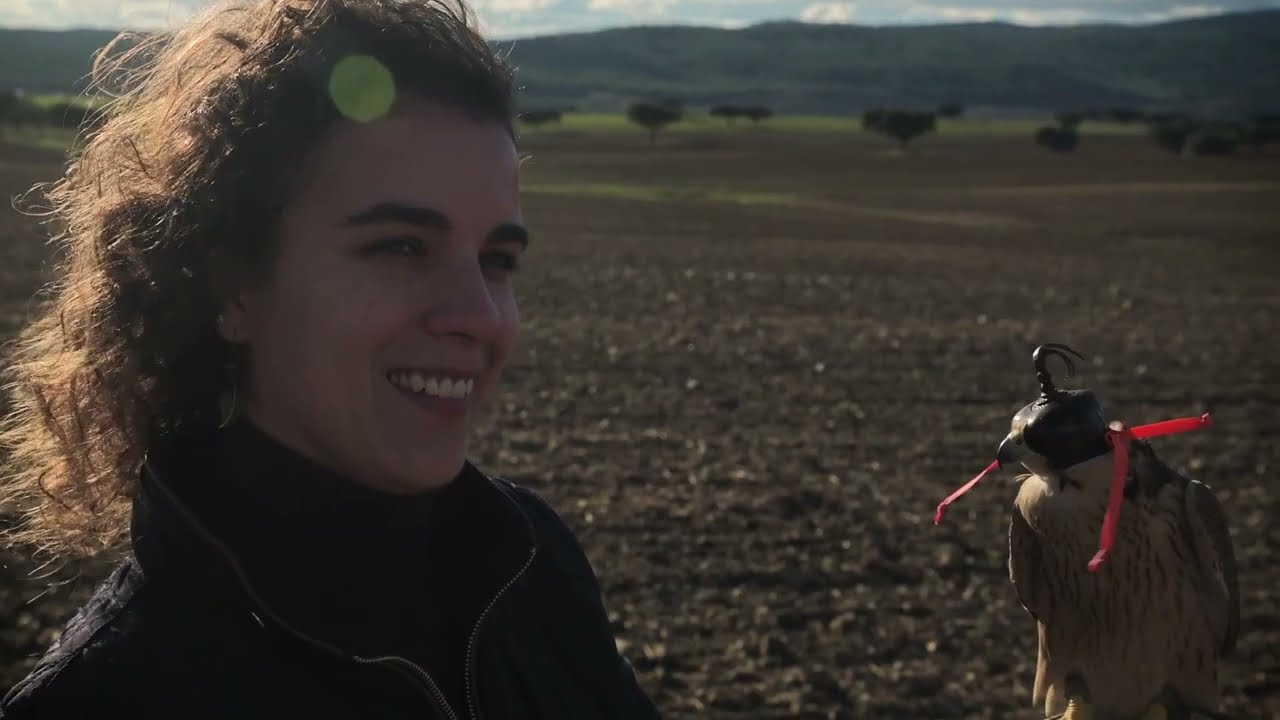 Falcoaria - Património Vivo/ Falconry - Living Heritage