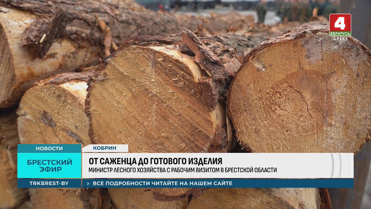 ОТ САЖЕНЦА ДО ГОТОВОГО ИЗДЕЛИЯ