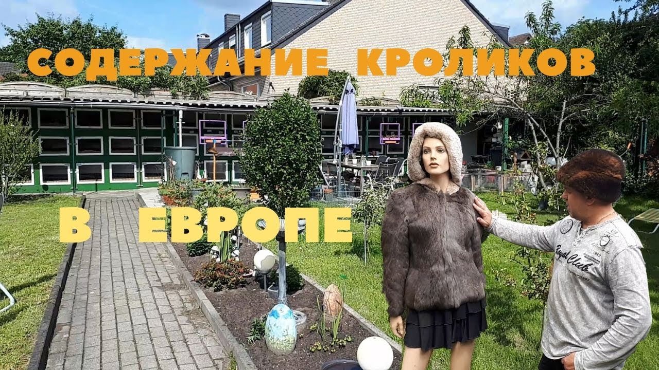 Общество кролиководов в Германии/Заводчики в Личных Хозяйствах/Меховые изделия из Кроликов