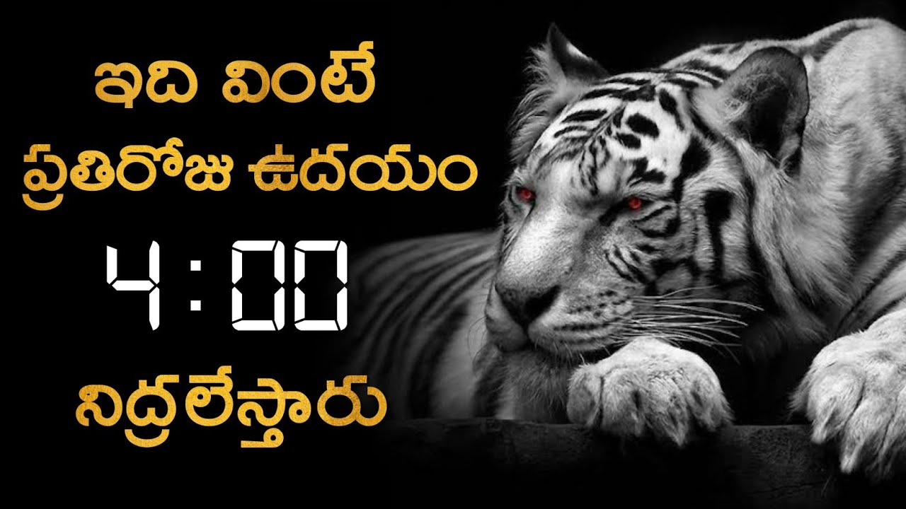 21 Days ఇలా 4 Am కి లేస్తే మీ Life Next Level కి వెళ్తుంది 💯 | Powerful Morning Motivation