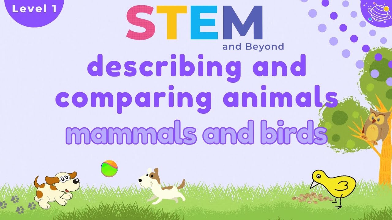 Comparing Animals: Mammals and Birds | KS1 Year 1 STEM Summer Camp