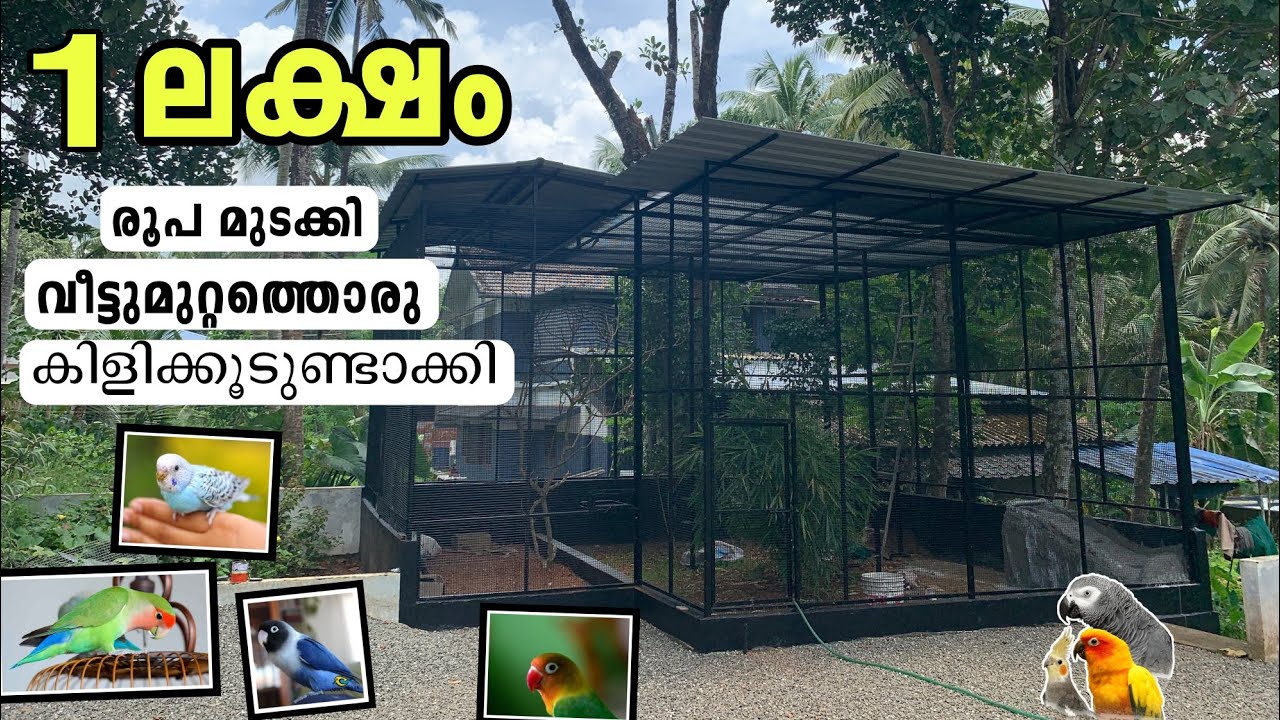 Beautiful Home Aviary making | aviary making video | bird cage making | Birds | malappurathukaran