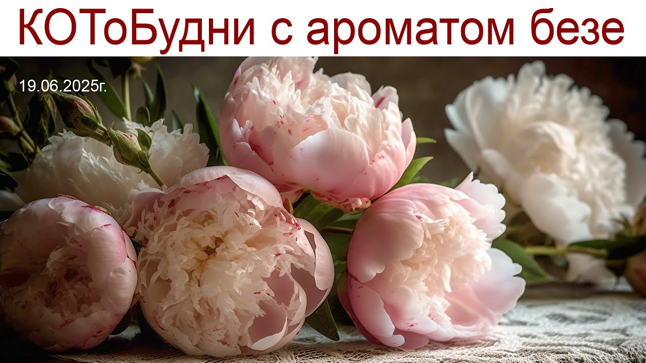 Дворец в усадьбе Кусково и холодный июнь 2025 года или КОТоБудни с ароматом безе, 19.06.2025г.