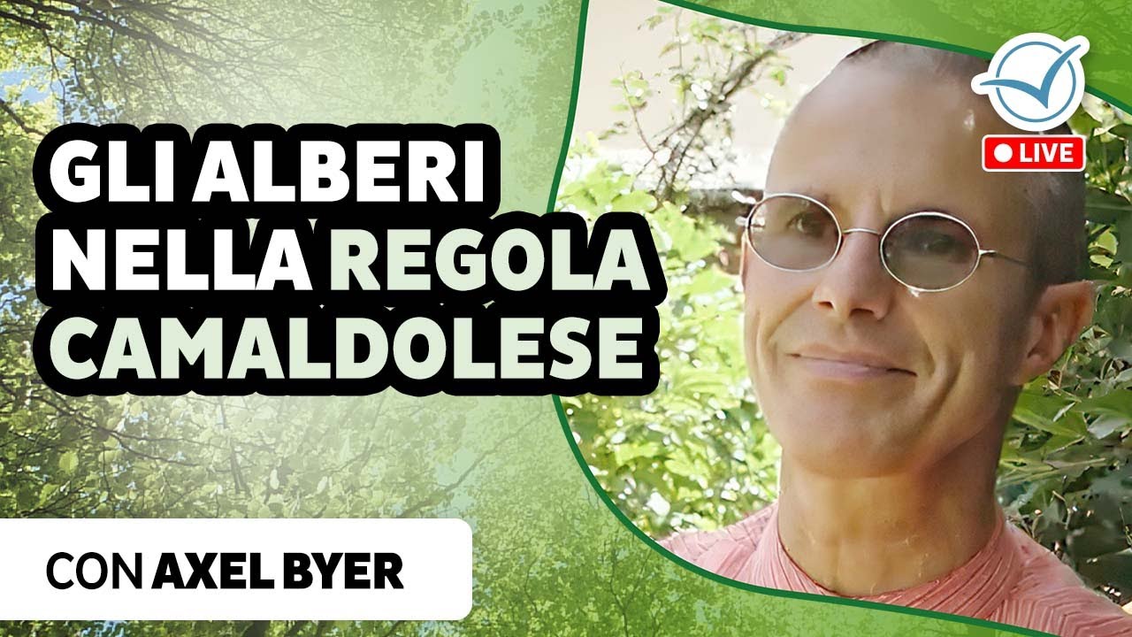 Gli alberi nella regola camaldolese | Axel Byer