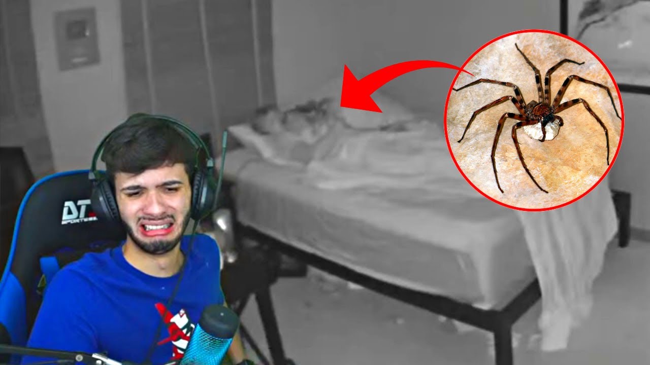 RAFÃO REAGE A YOUTUBER COMPRA ARANHA NA DEEPWEB E O PIOR ACONTECEU! life of luxury