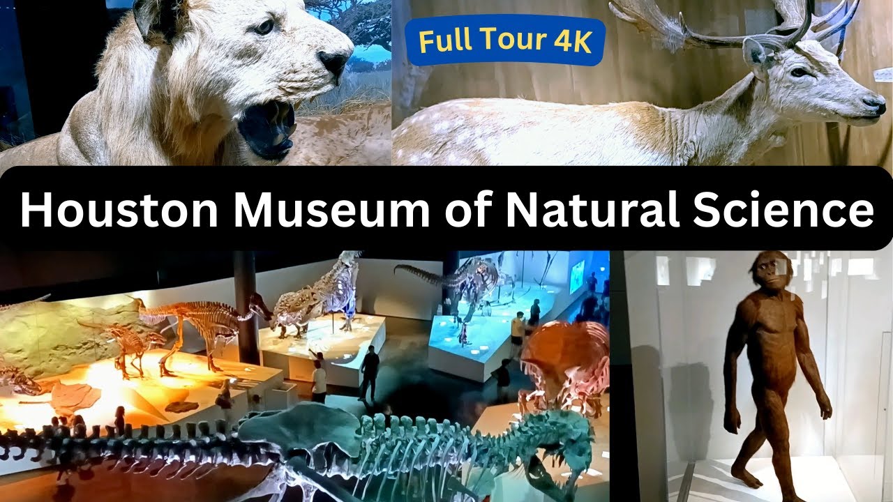 Houston Museum of Natural Science | Dinosaur Exhibit | HMNS | Full Tour | 4K