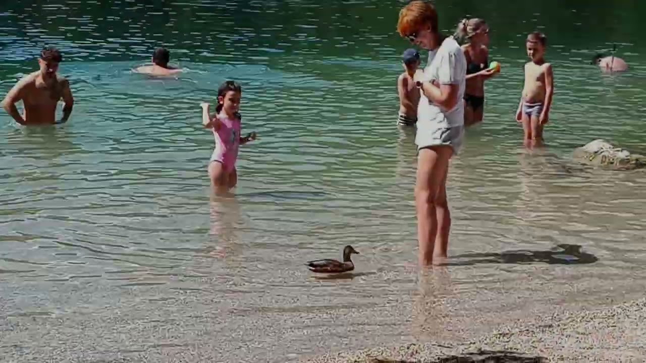 Alpensee F&uuml;ssen🇩🇪 : #Bayern #lake #alps #alpensee