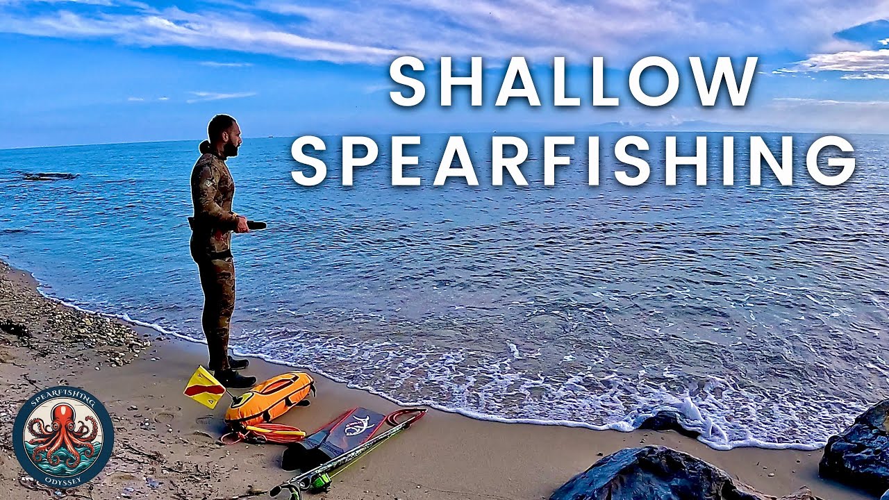 🔱 What Was I Thinking? | Big Bluefish Appear in Shallow Water Spearfishing 🐟
