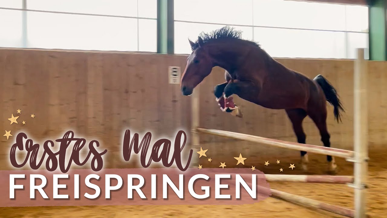 FREISPRINGEN 🥳 VLOG 75 | Pilsali
