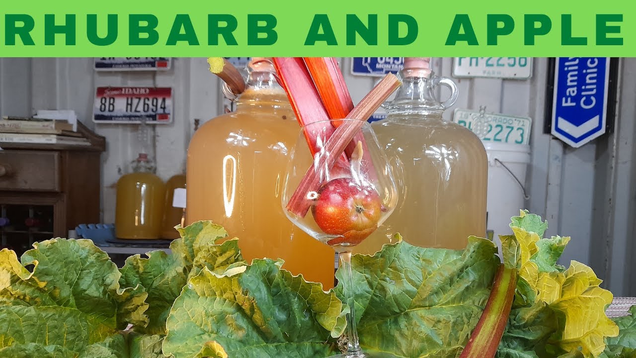 🍷 Discover the Perfect Blend: Rhubarb and Apple Wine Recipe