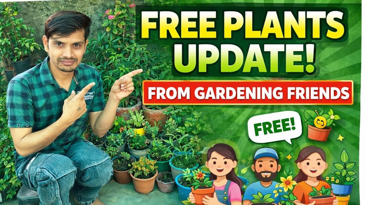 Free Plant's Update From Gardner Friends फ्री के पौधे की जानकारी☘️