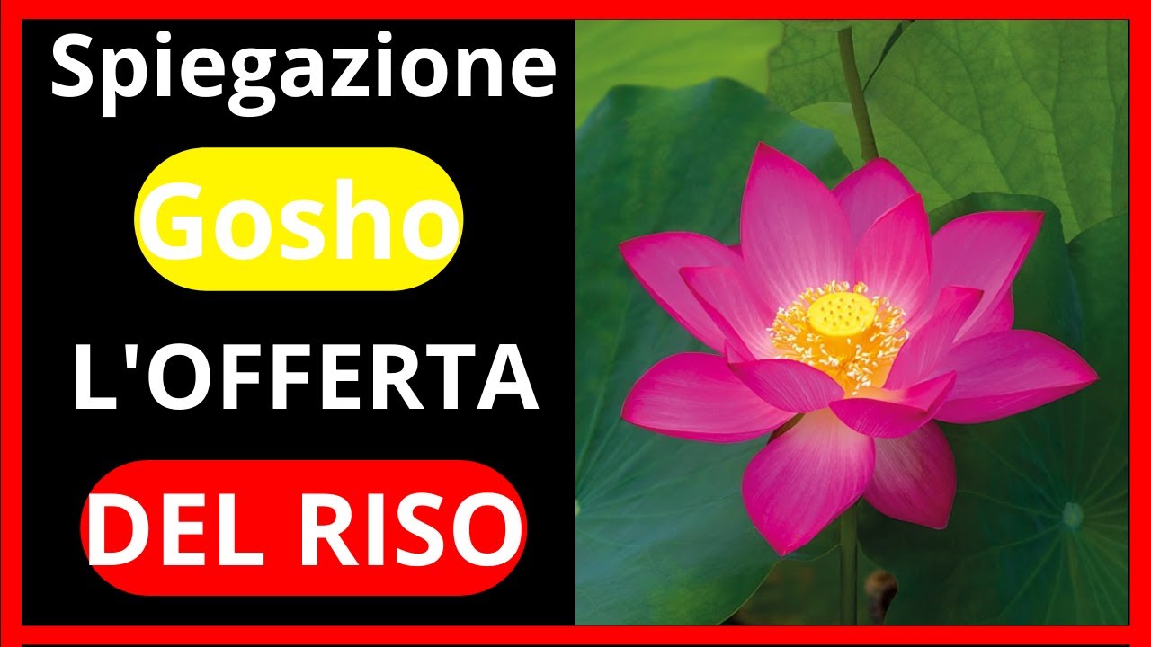 ✅ Spiegazione Gosho L'OFFERTA DEL RISO ➤ Lezioni di Daisaku Ikeda ➤➤
