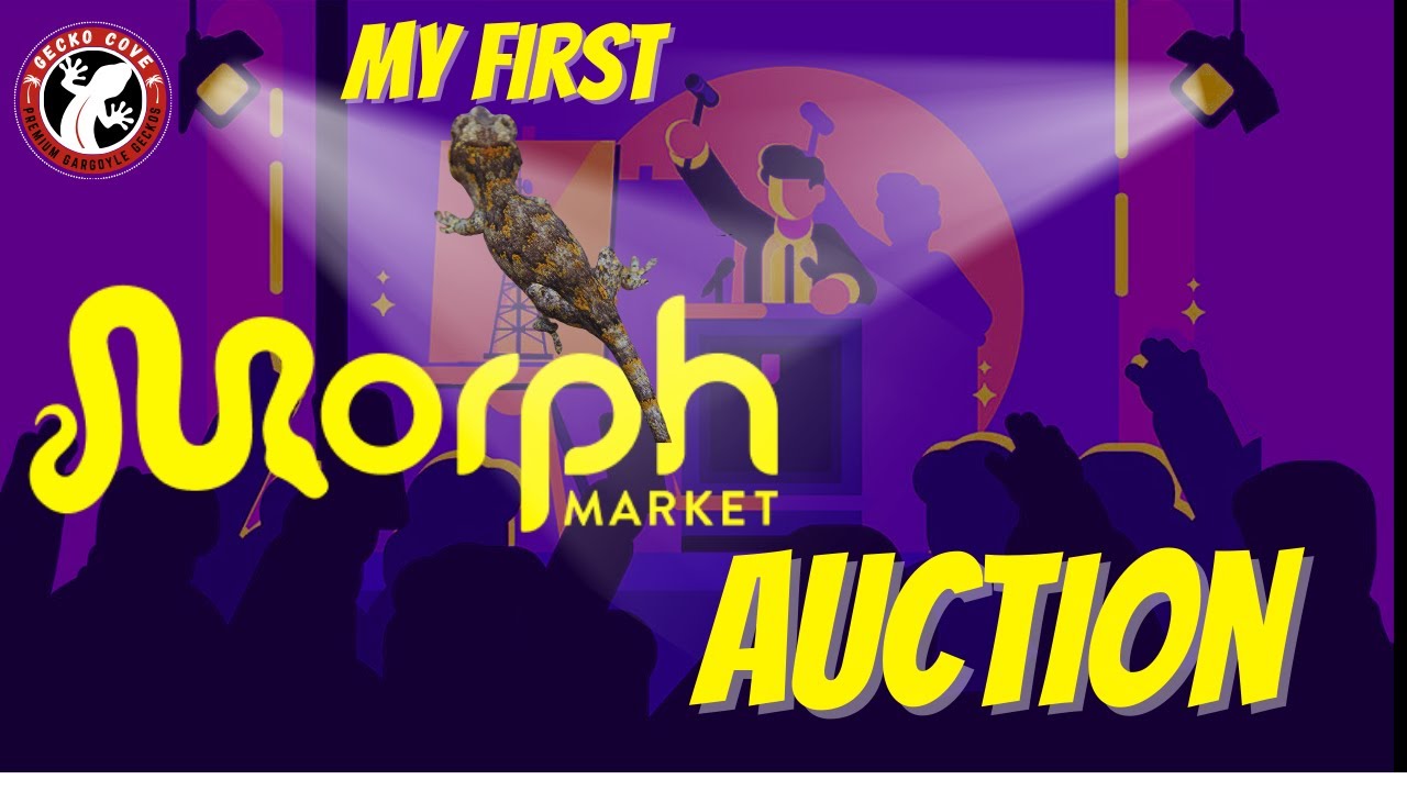My First Morph Market Auction