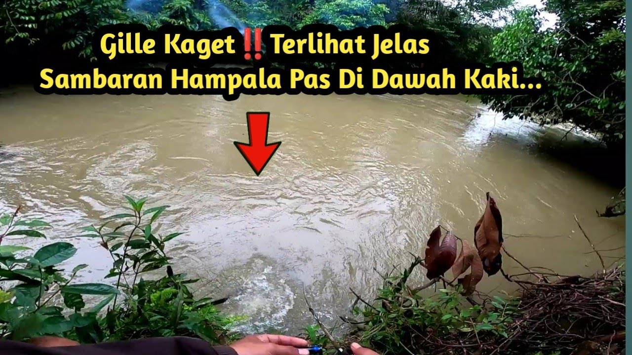 Gile Sambaran Hampala‼️Casting Ikan Hampala Arus Deras Di Sungai Sisa Banjir