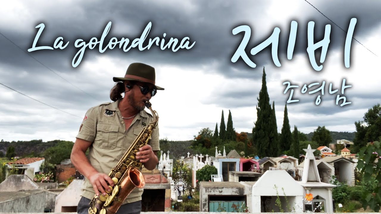 [색소폰연주] 제비(la golondrina) - 조영남_Saxo cover W. Peter