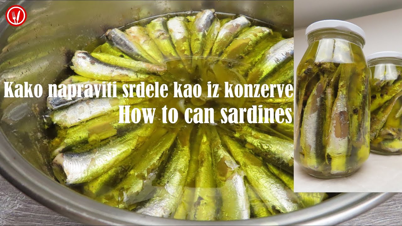 Kako Napraviti Srdele kao iz Konzerve ▪️ How to Can Sardines