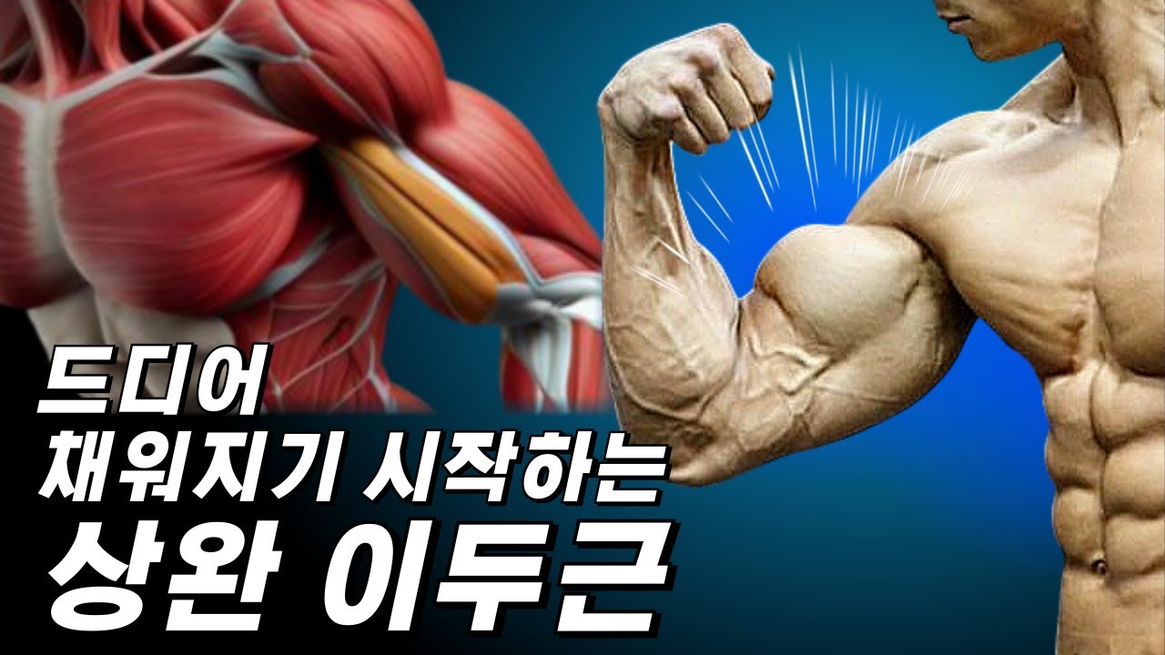 이두 빠르게 커지기 위한 현실적인 정보와 방법 6가지 (팔 잘 안크는 이유)