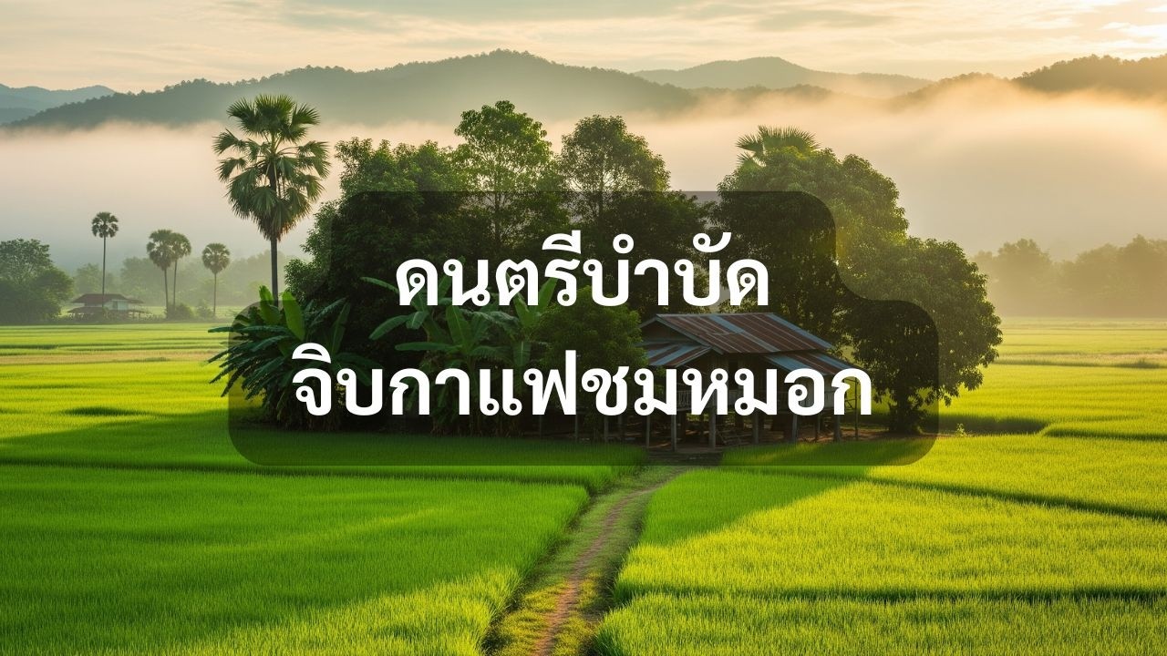 3 ชั่วโมง ดนตรีบรรเลงบำบัด | เพลงฟังสบาย พักผ่อน สมาธิ | Thai Countryside Instrumental