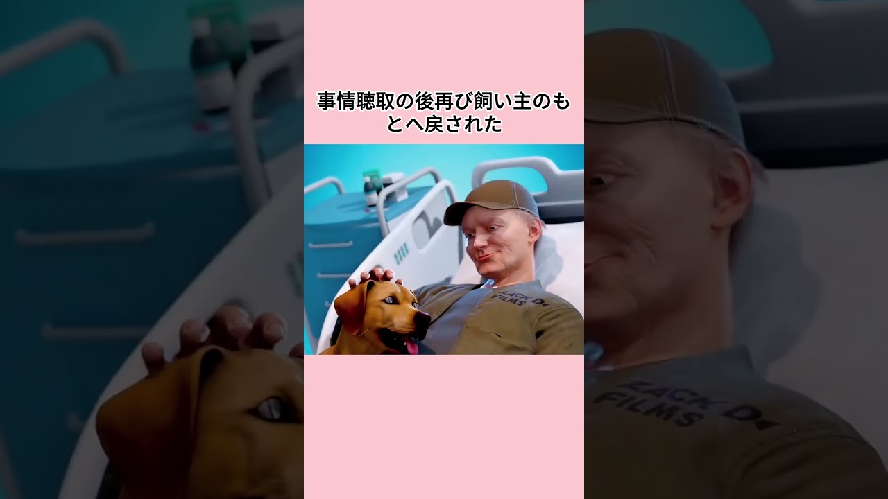 犬はなぜ引き金を引いたのか？真相は最後の瞬間に明らかになる #事件 #映画