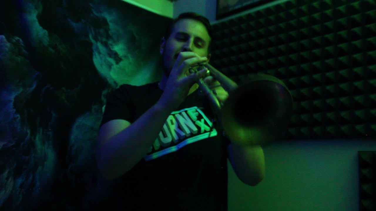 AARON JANIK - SEDATE