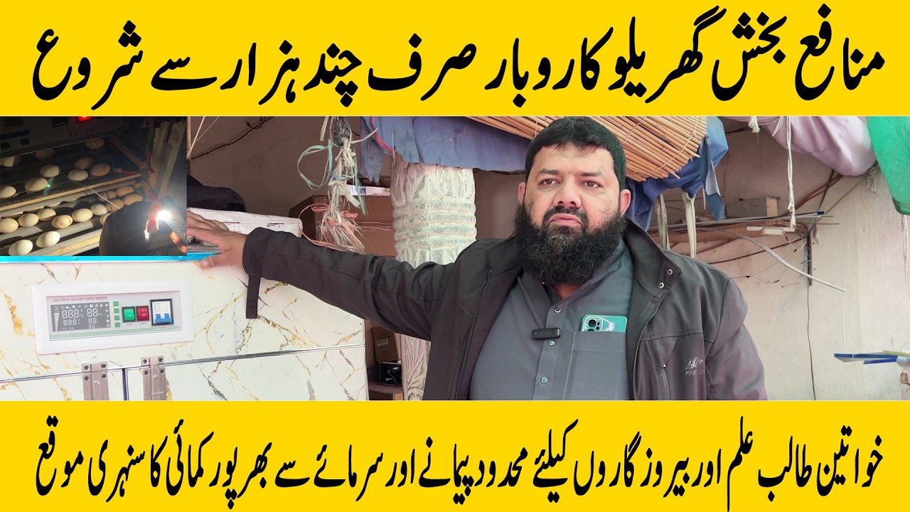 Прибыльный внутренний бизнес, об этом говорит только Чанд Хазар / Золотая возможность