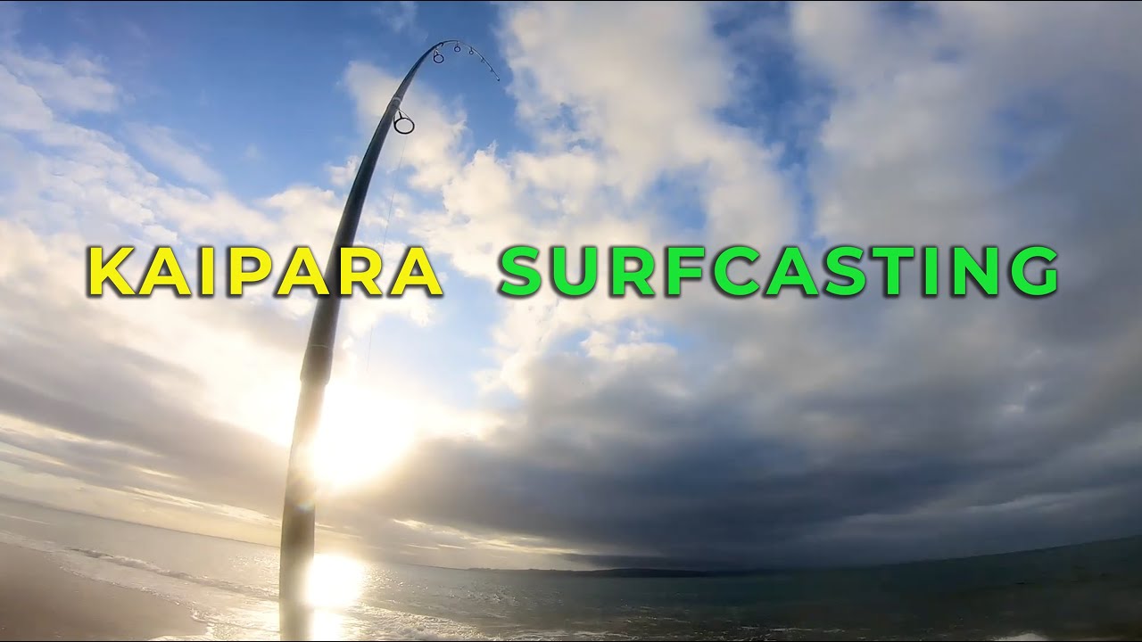 Catching snapper surfcasting at the lighthouse on the Kaipara Harbour (Pouto)