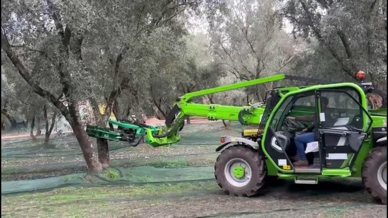 Applicazione kit scuotitore con Testata S.P.A.R.E.  B2 su Merlo - Raccolta olive