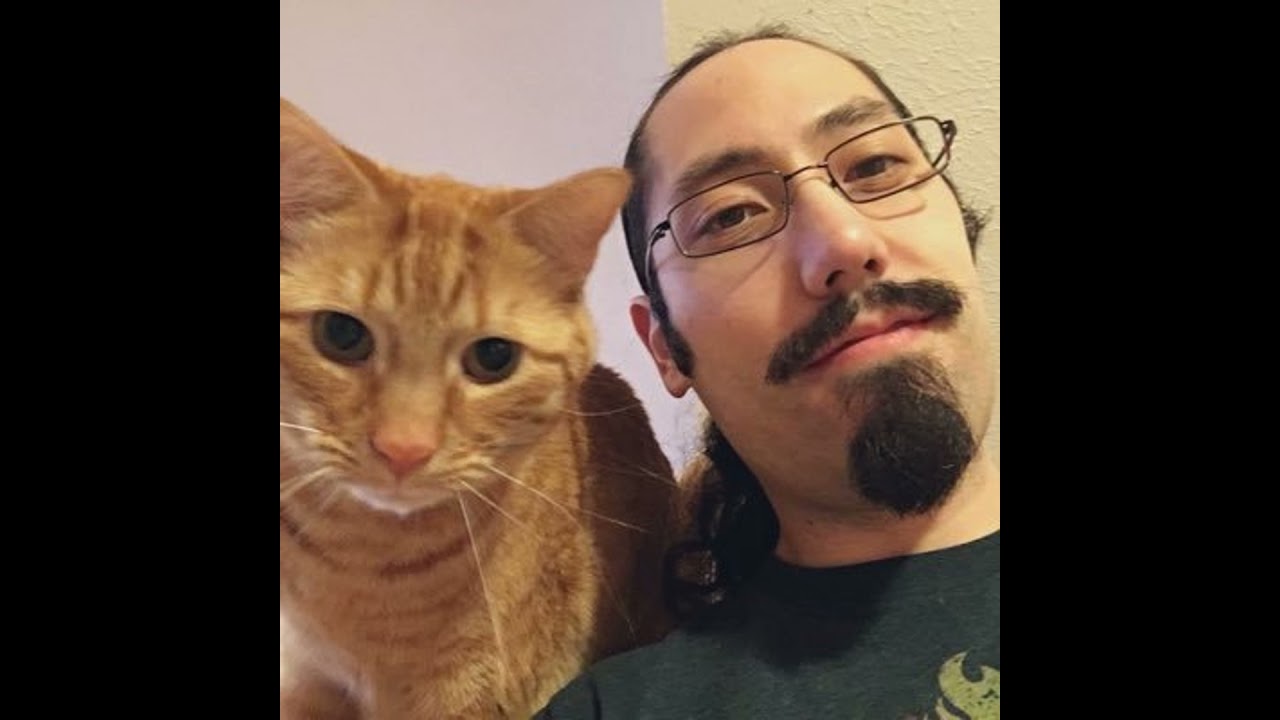 Chris Chung (Catlateral Damage)