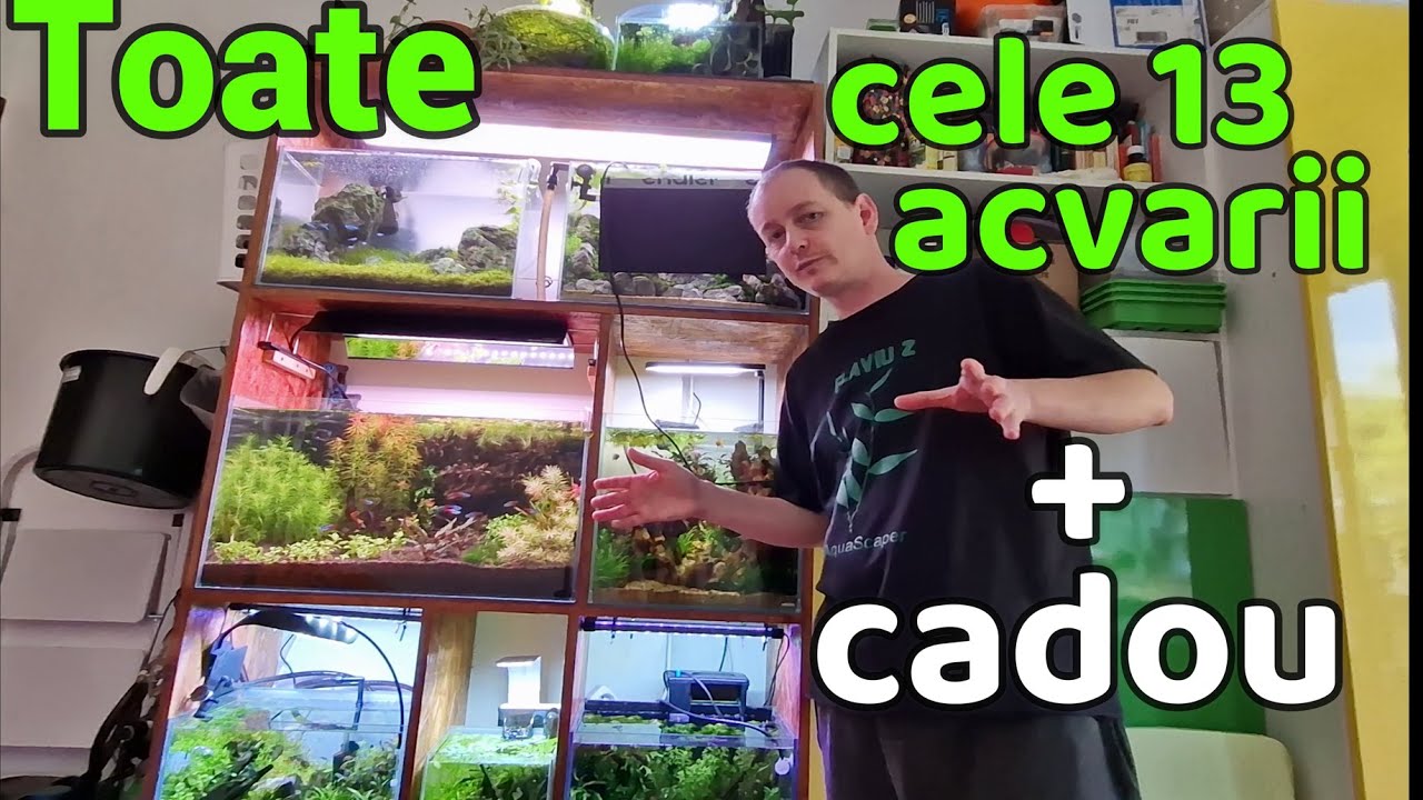 Turul complet al acvariilor. GIVEAWAY 3 pachete de pești!