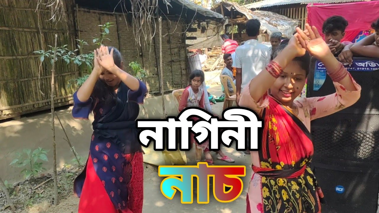 তিন নাগিনের নাচের ভিডিও |গ্রামের মেয়েদের নাচ |