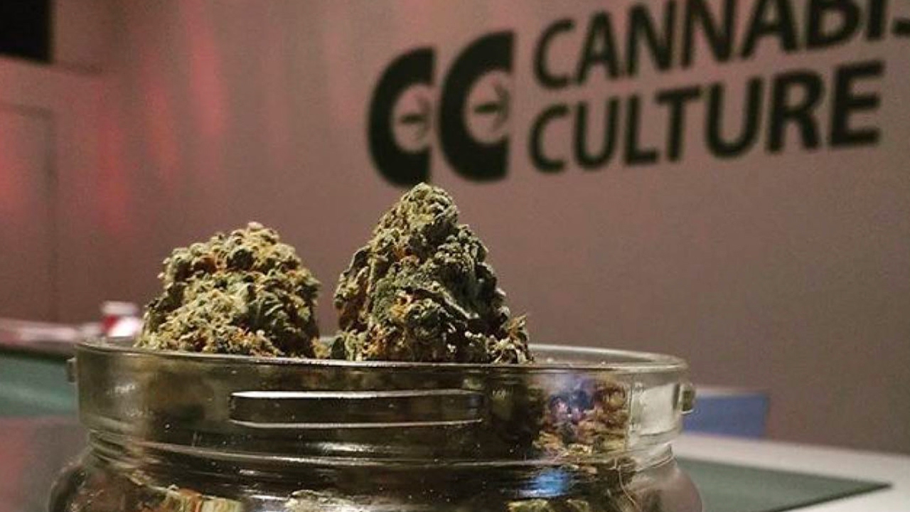 From Under The Influence with Marijuana Man: No Plain Packaging Here