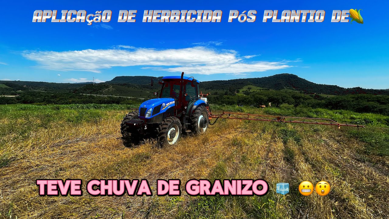 Aplicação pós plantio ! Qual herbicida usei ?? E teve chuva de granizo no final🤪😲